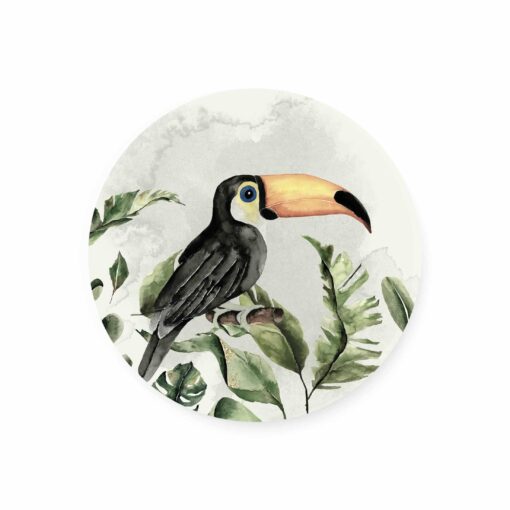 muurcirkel jungle toucan